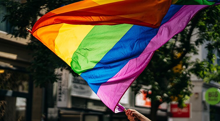 Diskutuojama dėl galimybės panaikinti draudimą nepilnamečiams pasakoti apie LGBTQI: Dobrowolska Lietuvos situaciją lygina su Vengrijos