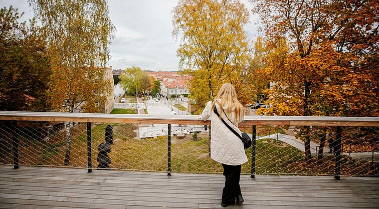 Sinoptikė: lietus nesitrauks, bet sulauksime jį prasklaidančių saulės spindulių