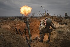 Ukrainos kariai