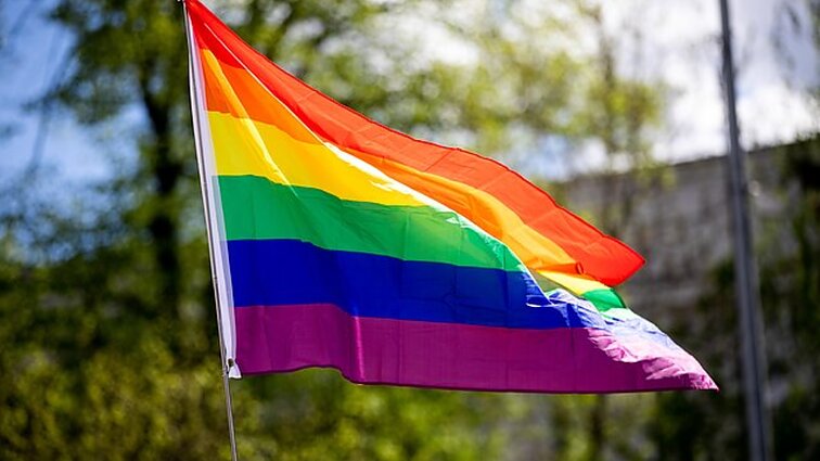 „Sprendimas – rinkėjų rankose“: Latvijos prezidentas dėl opozicijos iniciatyvos sustabdė partnerystės įteisinimą