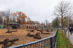 Lithuanian Zoo opens after renovation Lithuanian Zoo opens after renovation