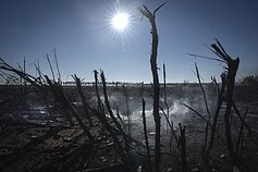 Rusijos karas prieš Ukrainą