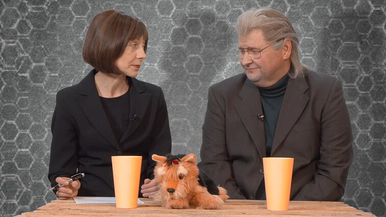 Dviračio žinios. Sociologas Gaidys apie naują Žemaitaičio partiją: VSD bus patogu turėti sąrašą žmonių, prijaučiančių antisemitizmui