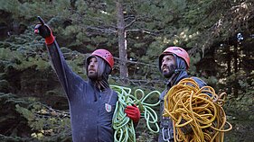 Filmo „Kalėdų eglutės gyvenimas ir mirtis“ stop kadras