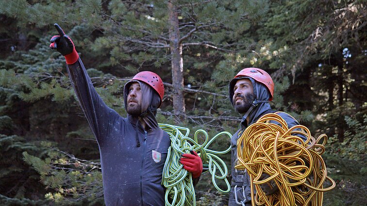 Filmo „Kalėdų eglutės gyvenimas ir mirtis“ stop kadras