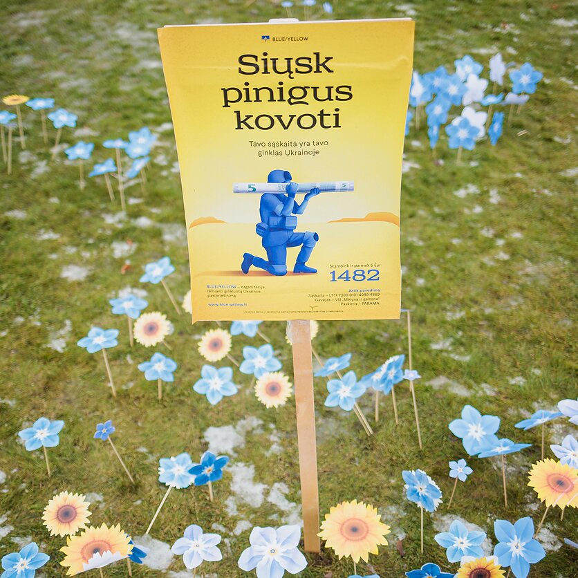 J. Stacevičiaus / LRT nuotr., Renginys „Neužmirštuolių pieva“ Lukiškių aikštėje