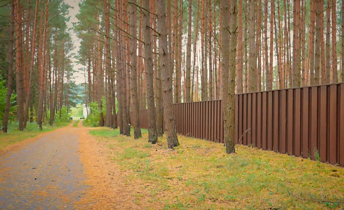 Nori patekti į mišką – lipk per tvorą: Domeikavoje privatizavus mišką, gyventojai nebegali naudotis sveikatingumo taku