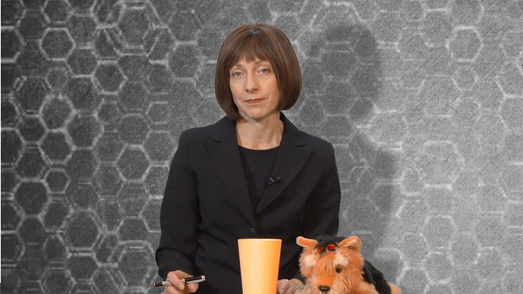 Savaitė su „Dviračio žiniomis“