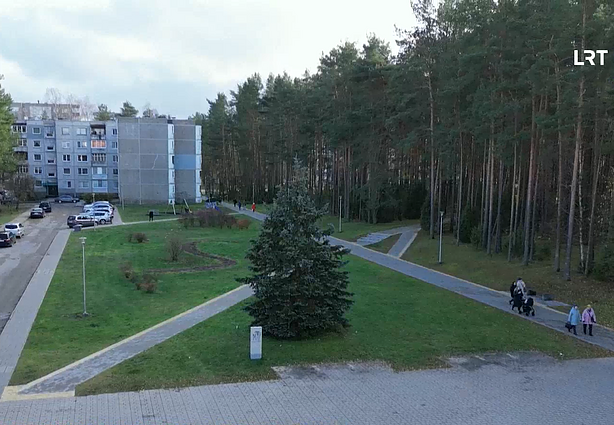 Елка в Висагинасе