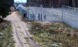 Migrantai. Asociatyvi Migrantai. Asociatyvi