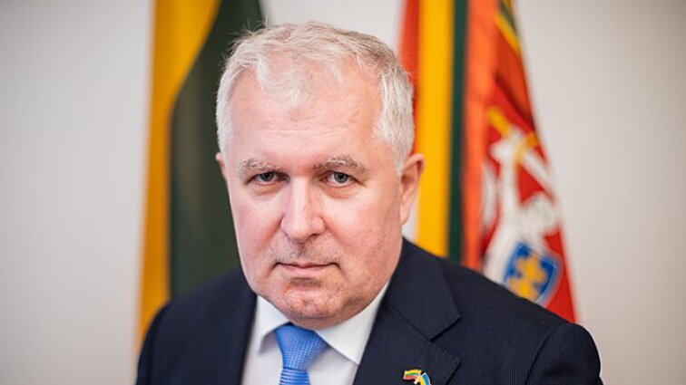 Svarbus pokalbis. Anušauskas: Lietuvos kariuomenės pajėgumai radikaliai pasikeis nuo 2026 m.