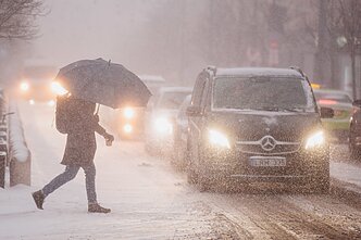 Vilnių užklupo pūga Vilnių užklupo pūga