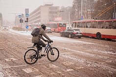 Vilnių užklupo pūga Vilnių užklupo pūga