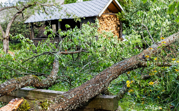 Rugpjūtį praūžusios audros padariniai – vis dar tema Širvintų gyventojams: kompensacijų nesulaukia, o patys sutaisyti neišgali