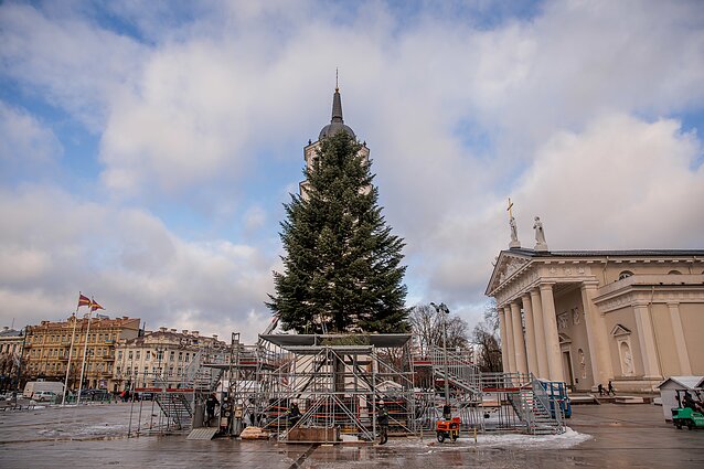 Christmas preparations in Vilnius Christmas preparations in Vilnius