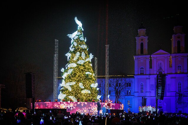Christmas tree in Kaunas Christmas tree in Kaunas
