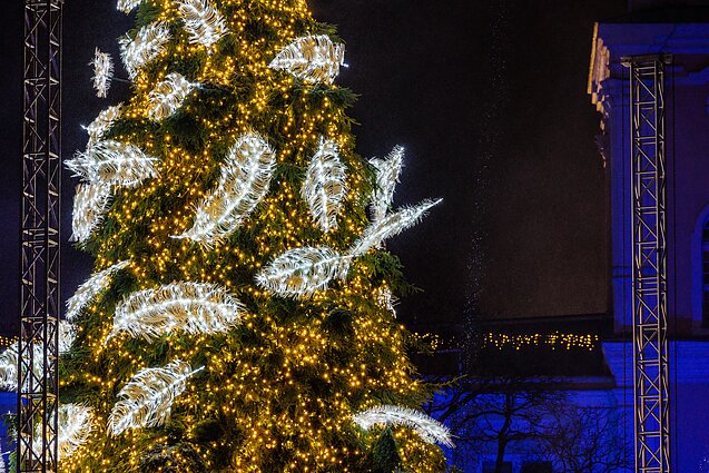 Christmas tree in Kaunas Christmas tree in Kaunas