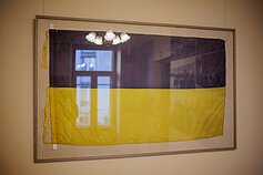 Iniciatyvos „Ukrainos kultūra neturi kuo gintis“ pristatymas