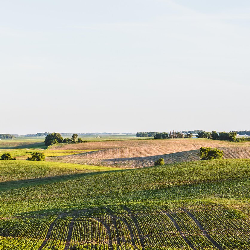 Sitraka , Gimtoji žemė. Dėl išaugusio žemės mokesčio gali augti produktų kainos