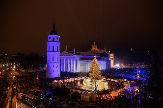 Vilniaus miesto eglė