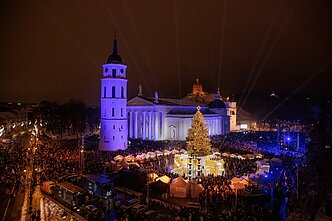 Vilniaus miesto eglė