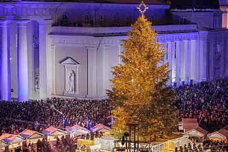 Vilniaus miesto eglė