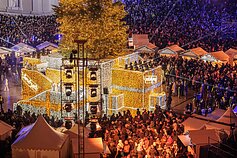 Vilniaus miesto eglė