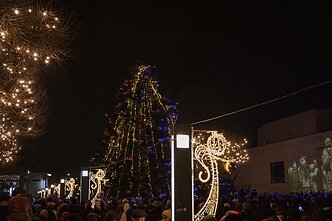 Alytaus Kalėdų eglė