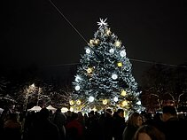 Christmas tree in Zarasai