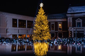 Klaipėdos eglės įžiebimo akimirkos