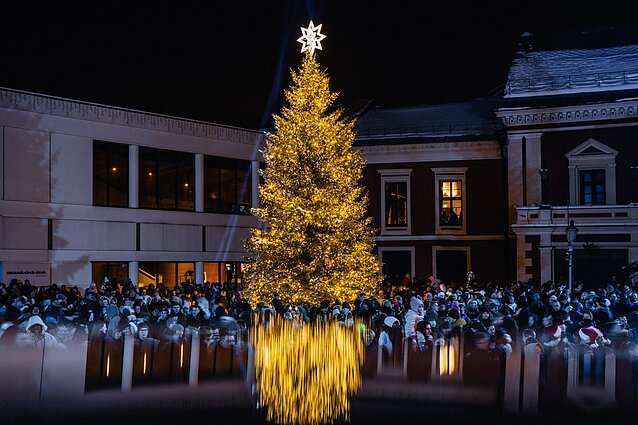 Klaipėdos eglės įžiebimo akimirkos