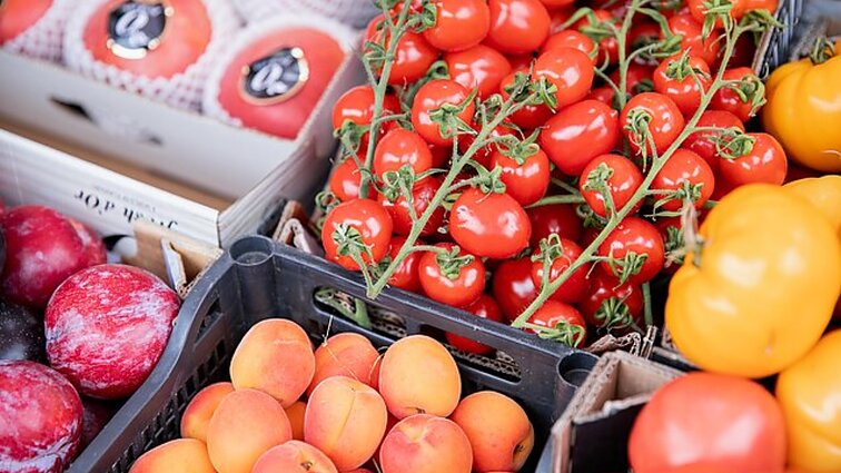 Siekiama pažaboti „žaliąjį smegenų plovimą“: dalis verslų apgaulingai pristato, esą jų produktai – draugiški aplinkai