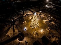 Christmas tree in Kretinga