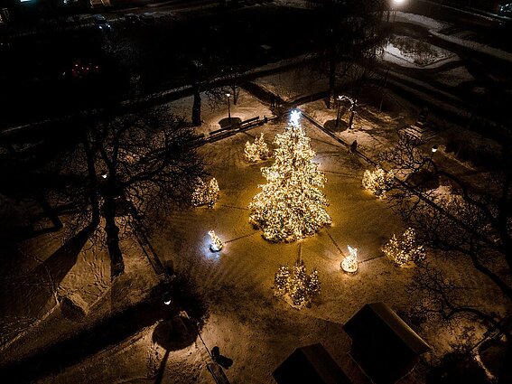 Christmas tree in Kretinga