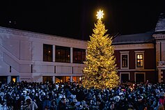  Christmas tree in Klaipėda