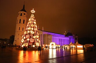 2013 m. Vilniaus Kalėdų eglė