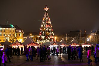 2013 m. Vilniaus Kalėdų eglė