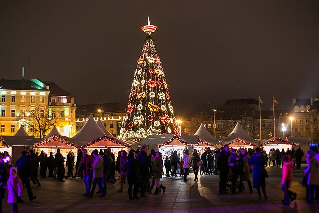 2013 m. Vilniaus Kalėdų eglė