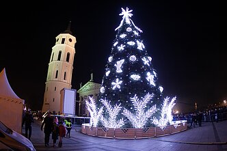 2014 m. Vilniaus Kalėdų eglė