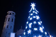 2014 m. Vilniaus Kalėdų eglė