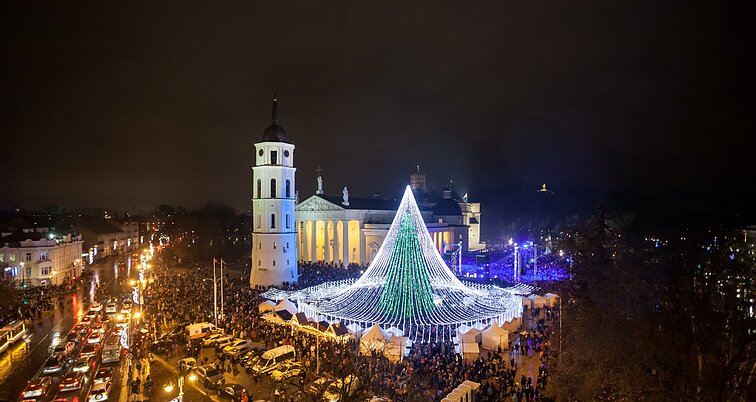 2016 Vilnius Christmas tree 2016 Vilnius Christmas tree