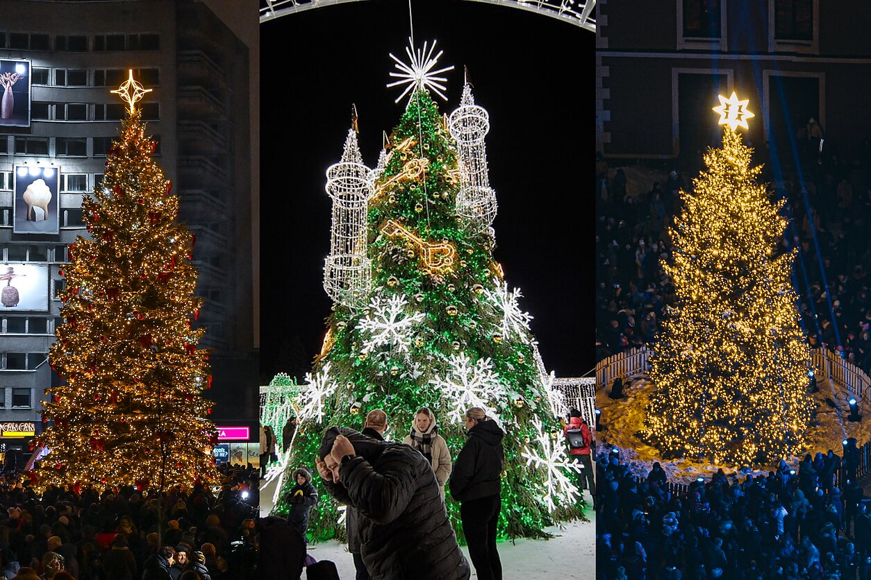 Christmas trees in Panevėžys, Širvintos, Klaipėda