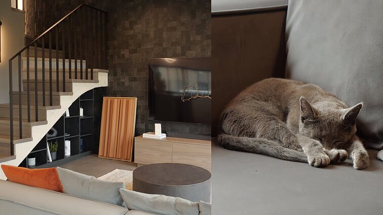 Industrinio stiliaus būstą pritaikė ir katinams: minkštiems baldams pasirinko veliūro medžiagą