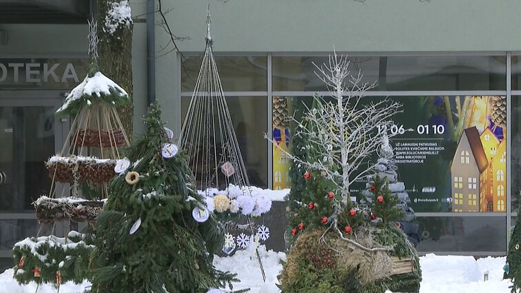 Jau dešimtąjį kartą Klaipėdoje įžiebiamas bendruomeniškumo simboliu tapęs Kalėdų eglučių kiemelis