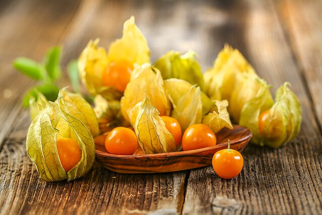 Dumplūnės Dumplūnės