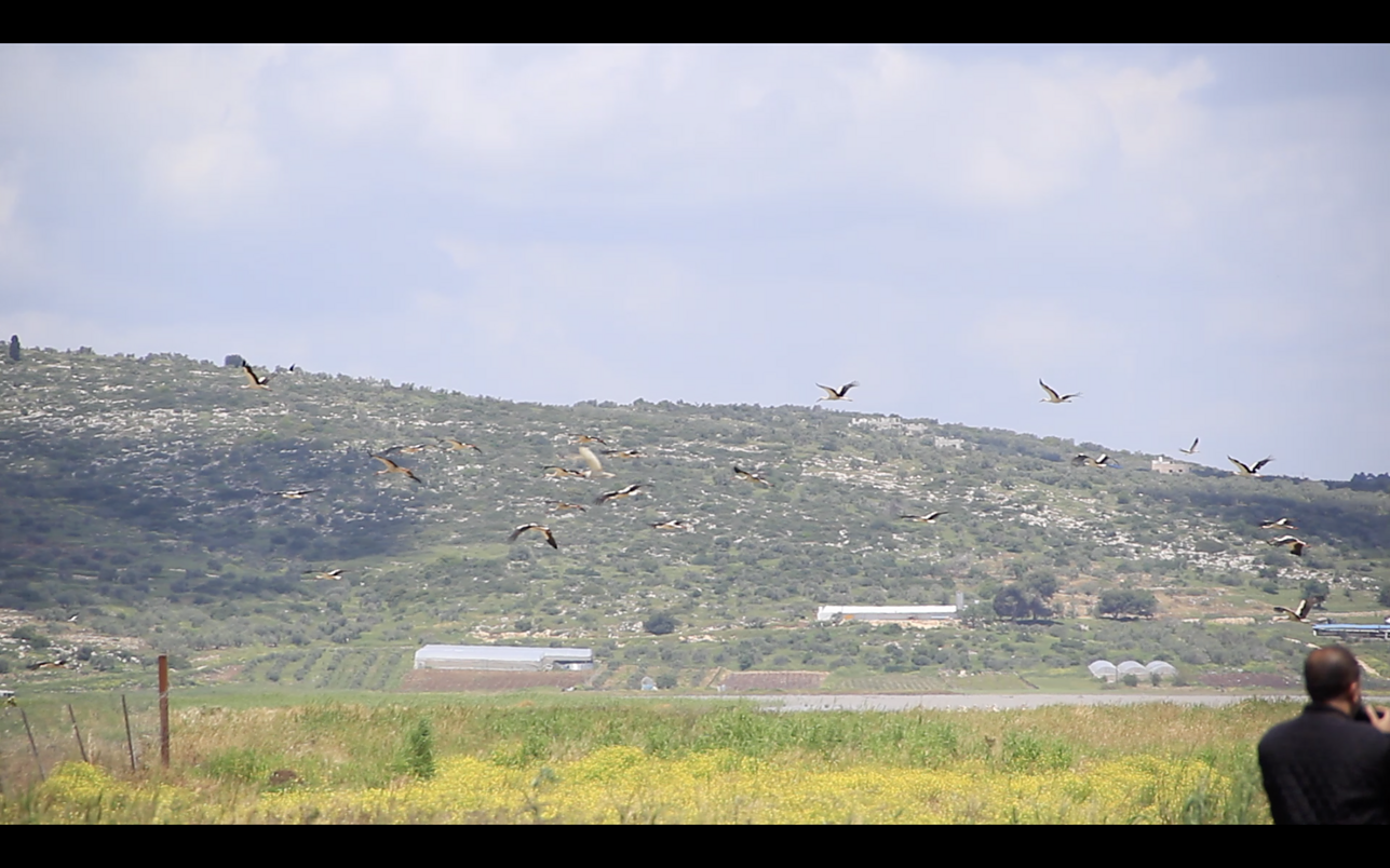 Tubas, Palestina, 2019 m. 