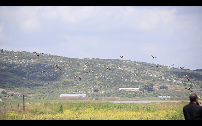 Tubas, Palestina, 2019 m. 