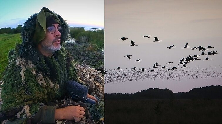 Gamtininko užrašai. Paukščių rojuje tarp gausybės sparnuotųjų atsidūręs Čepulis: Žuvinte niekada nebūna tylu ir nuobodu