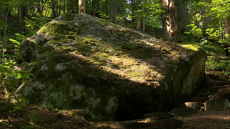 Pradėk nuo savęs. Žemaitijos nacionalinio parko mįslė: pusantro milijardo metų amžiaus akmenyje įspausta velnio pėda