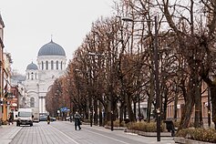 Kaunas